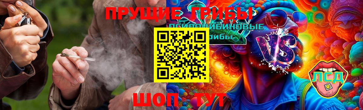 Калуга  Галлюциногенные грибы Psilocybine cubensis  Вход с VPN  Галлюциногенные грибы Cubensis 